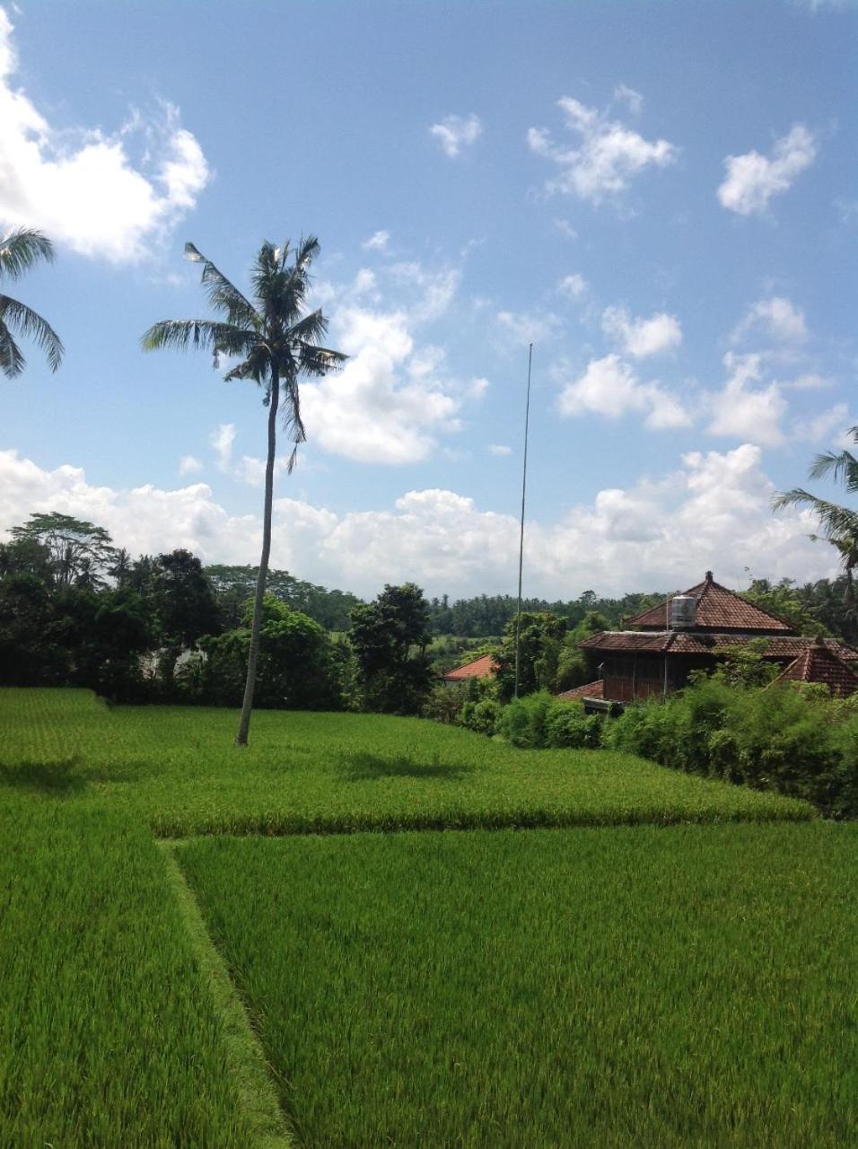 Uma Dhari Villa By Prasi Ubud  Luaran gambar