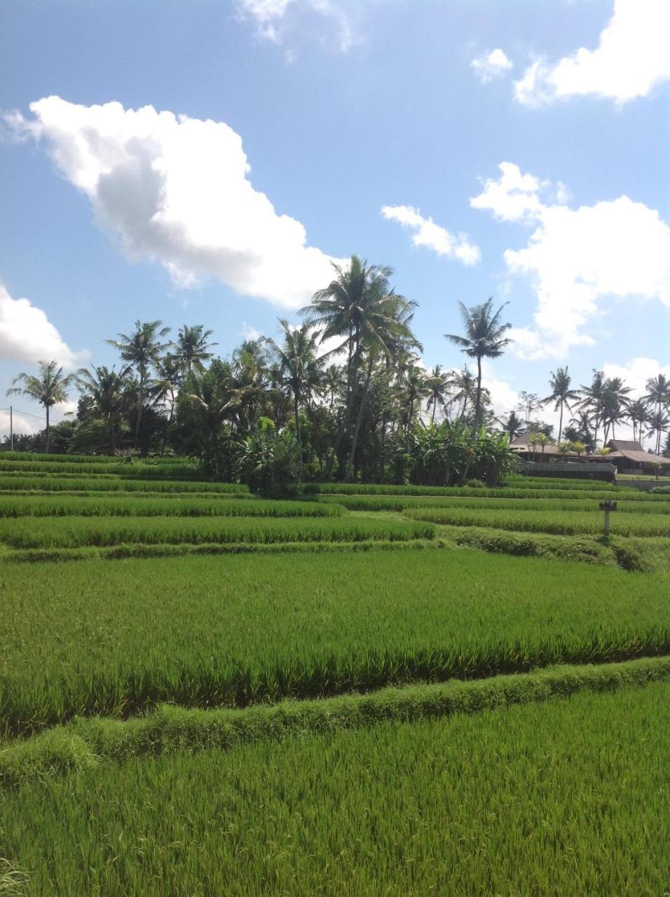 Uma Dhari Villa By Prasi Ubud  Luaran gambar