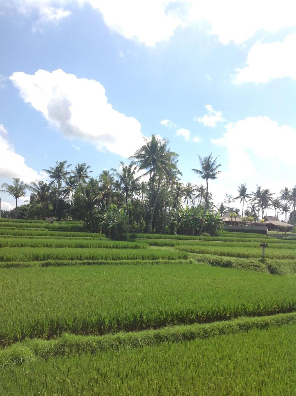 Uma Dhari Villa By Prasi Ubud  Luaran gambar